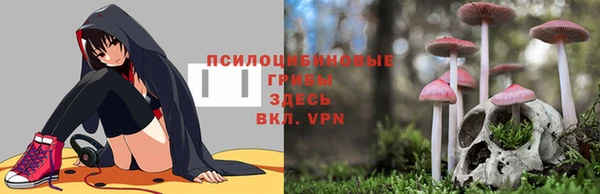 спайс Строитель