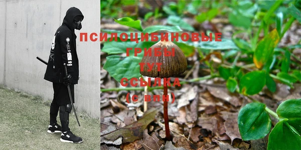 спайс Строитель