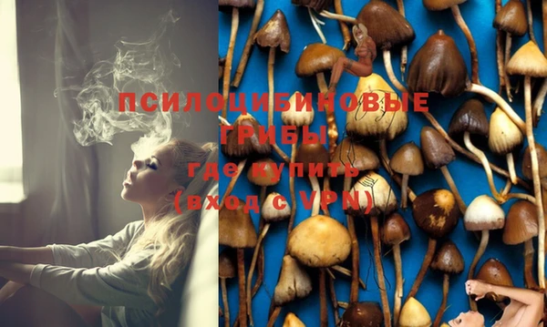 спайс Строитель