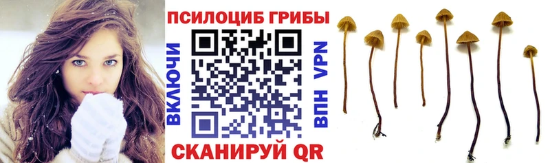 Купить где  Биробиджан  Псилоцибиновые грибы мухоморы 